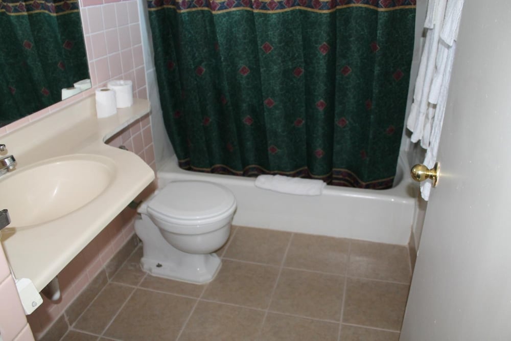 American Motor Inn - photo 31