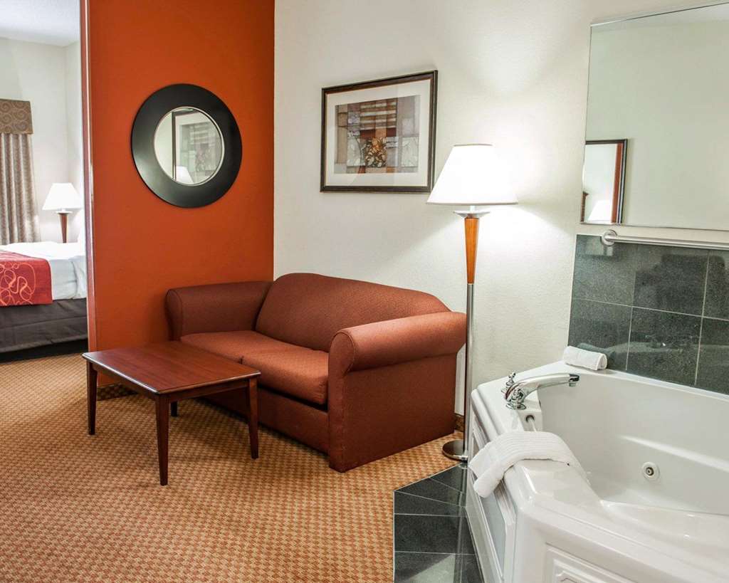 Comfort Suites near Indianapolis Airport - photo 11
