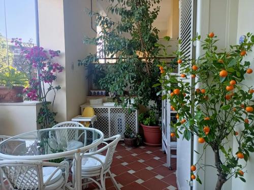 Le Terrazze della Farnesina Policlinico Gemelli Roma — 4-Star Luxury Hotel in Rome, Italy