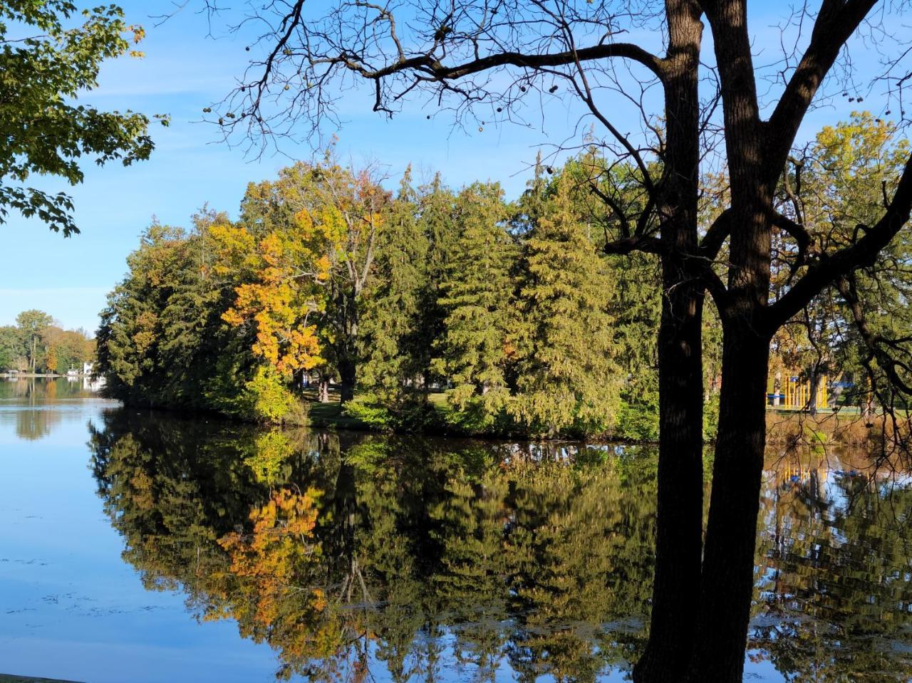 Cozy Quonset Hut on Maple Lake — hotel in Paw Paw