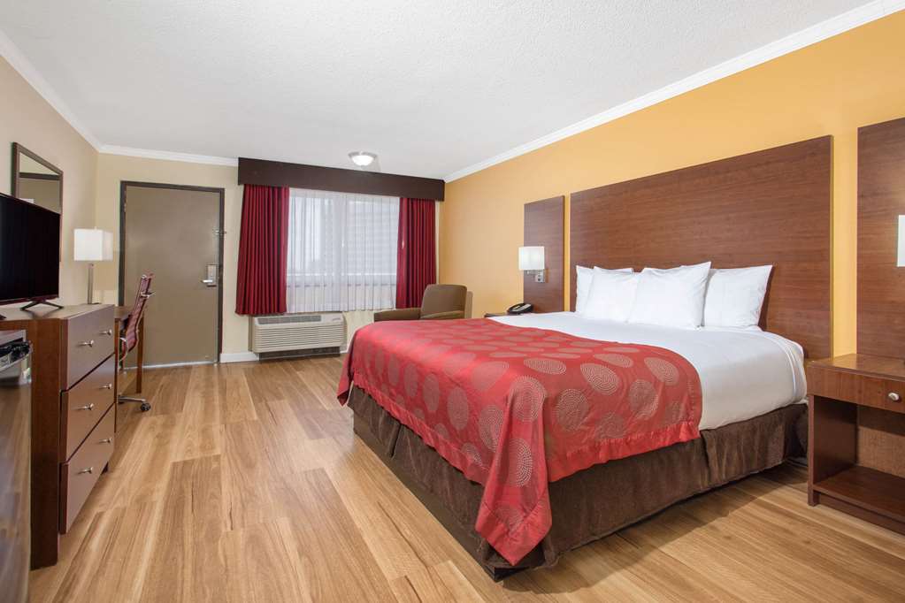 Ramada by Wyndham Tampa Westshore Airport South - photo 28