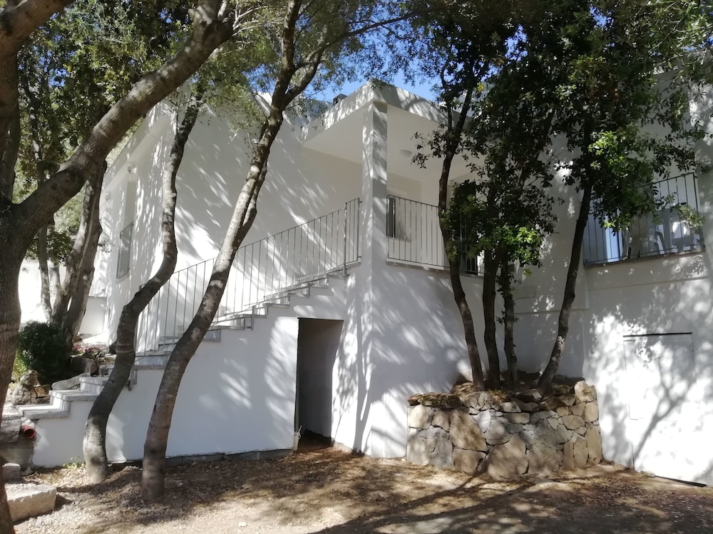 In Campagna da Nino pet-friendly hotel Olbia