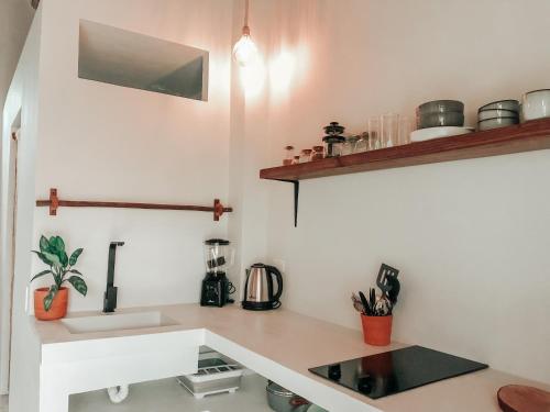 Ayampe Lofts — Unknown City — photo 5
