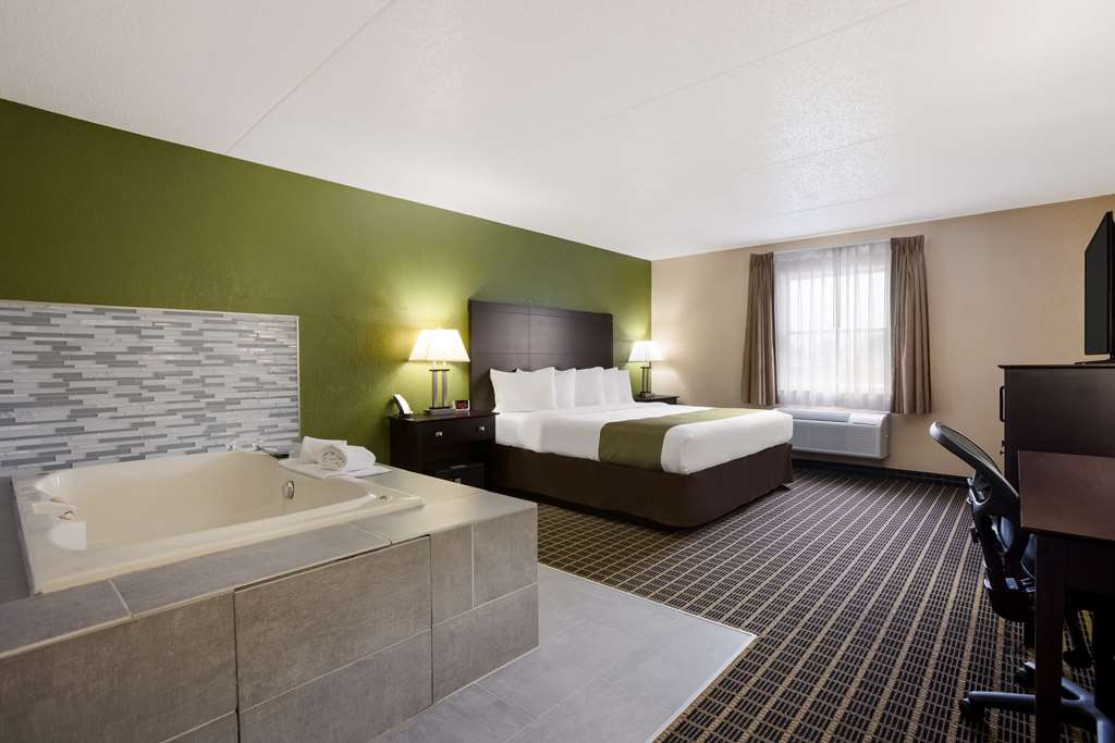 Quality Inn & Suites Big Rapids near University - photo 11
