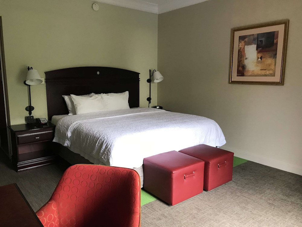 Hampton Inn Vidalia - photo 12