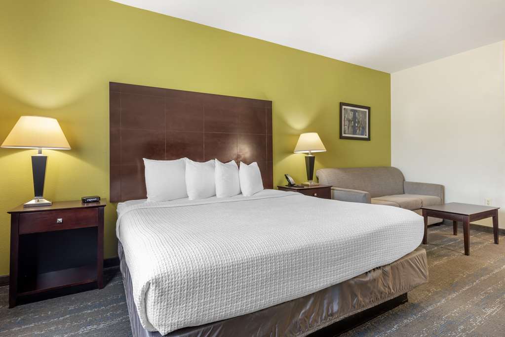Best Western Plus Mansfield Inn & Suites - photo 40