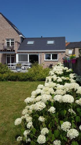 Luppolo Vakantiehuis Westhoek - carbon neutral hotel in Alveringem
