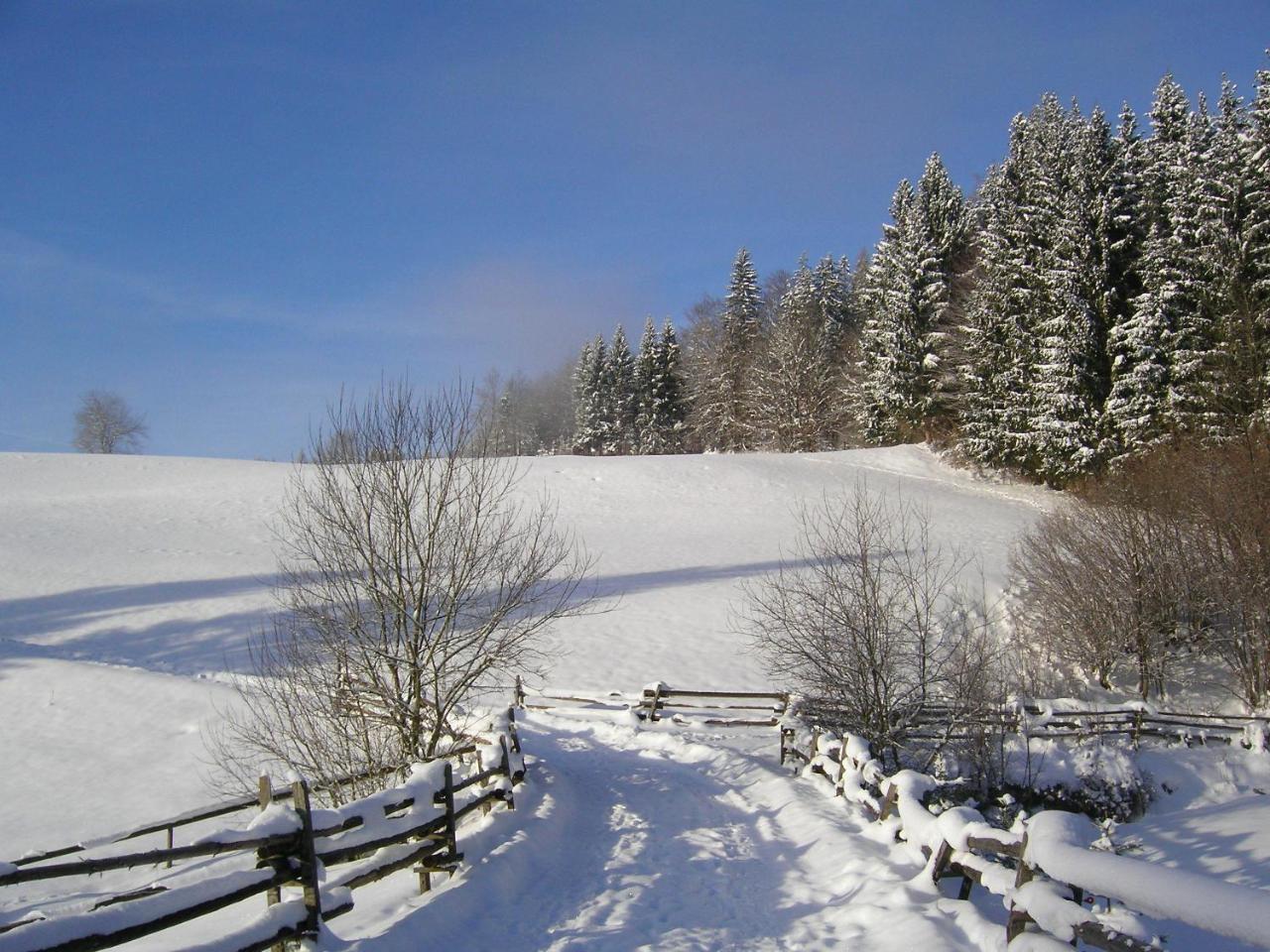 Biohof Teufel — Lunz Am See — photo 4