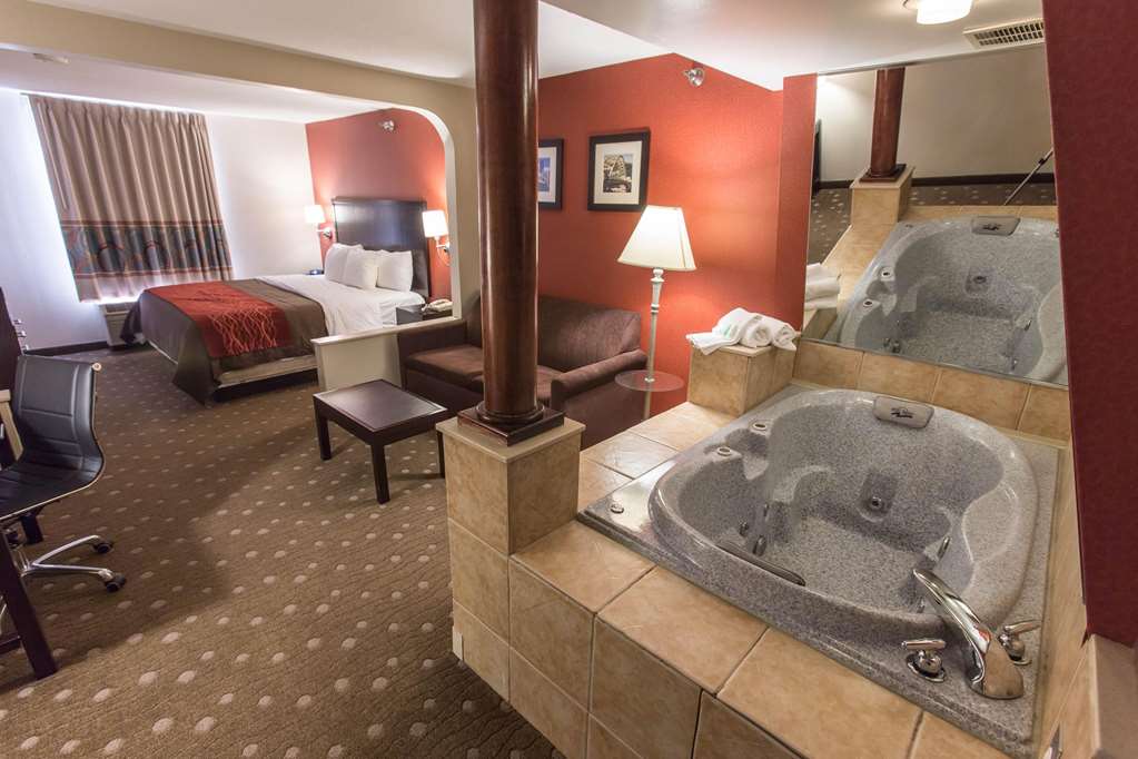 Comfort Inn Pittsburgh Crafton - photo 27