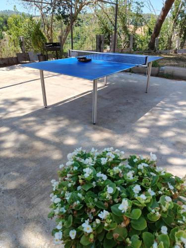 Codirosso Rustico in Collina Vicino Al Mare in Fano, Italy