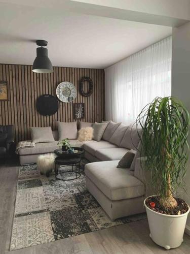 Cozy Appartment Free Parking No Wifi — 4-Star Luxury Hotel in Reykjavik, Iceland