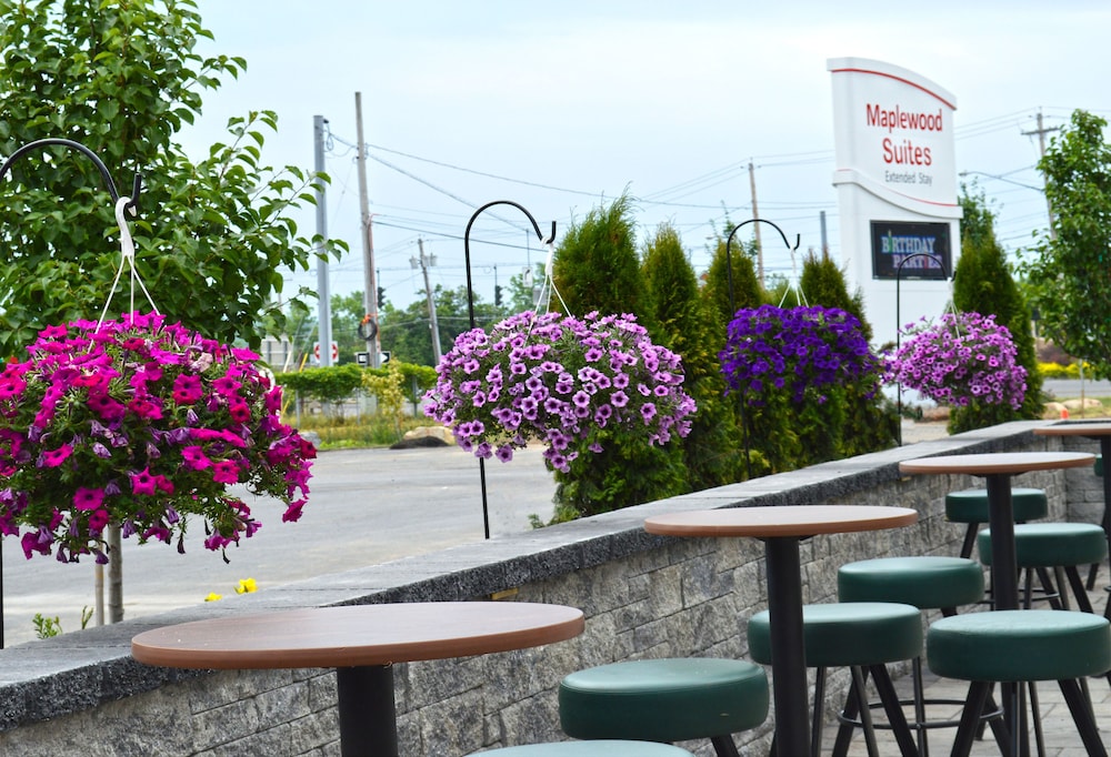 Holiday Inn & Suites Syracuse Airport Liverpool by IHG - photo 80