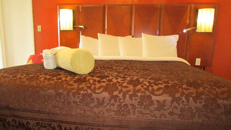 Mountain Star Inn - photo 92