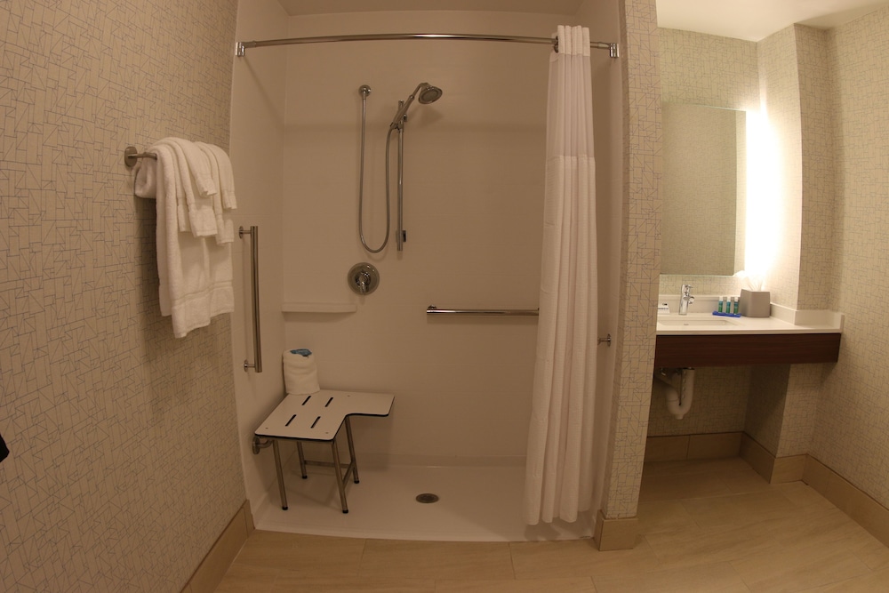 Holiday Inn Express and Suites Detroit Northwest Livonia - photo 9