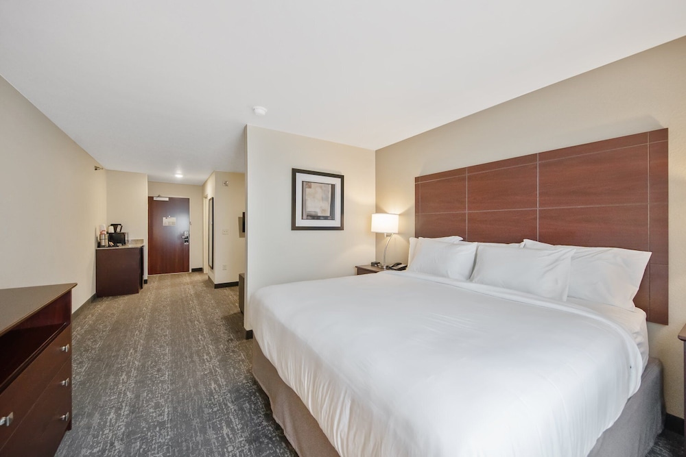 Cobblestone Hotel & Suites Two Rivers - photo 5