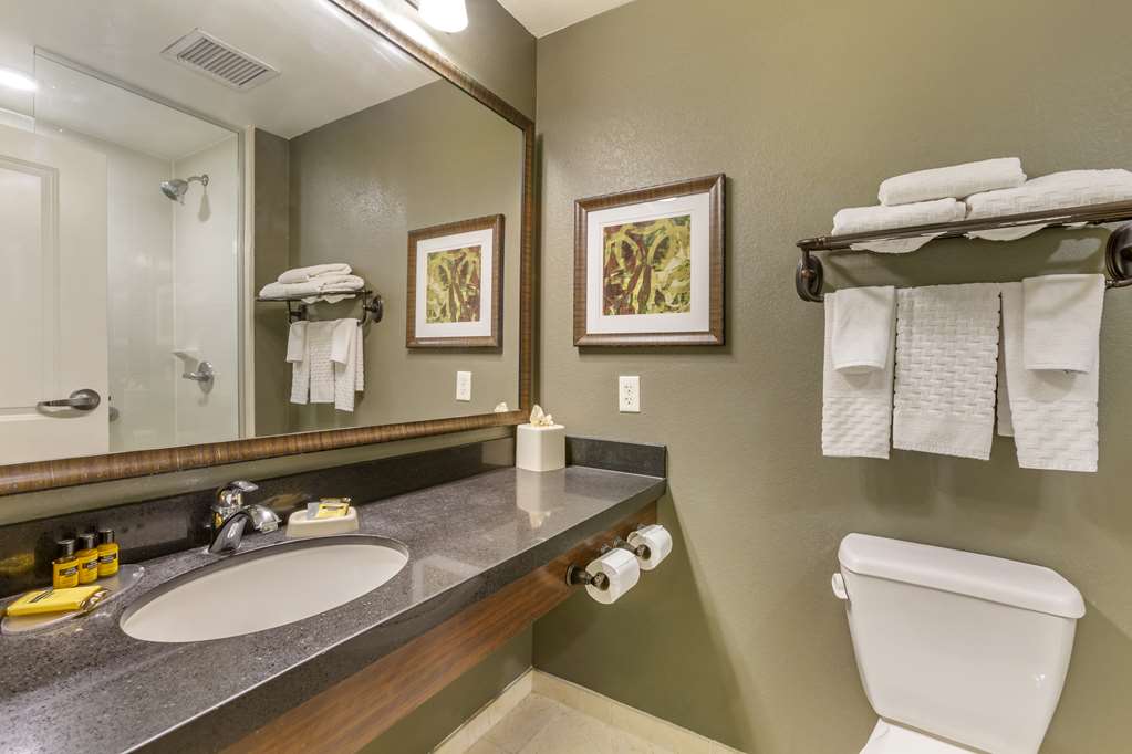 Best Western Plus Chandler Hotel & Suites - photo 32