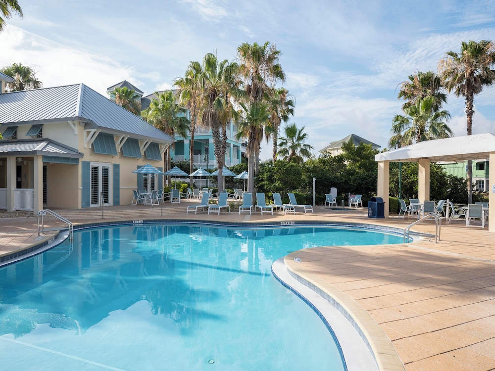 Three Palms - photo 10