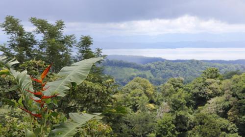 Finca Sueno de Osa in Puerto Jimenez, Costa Rica