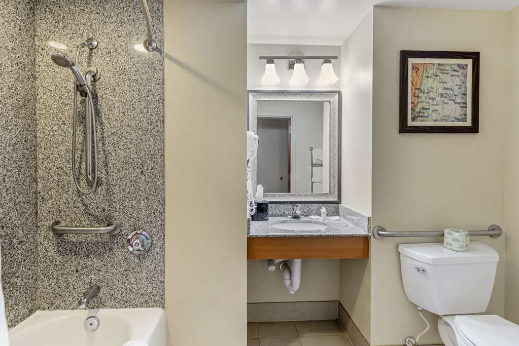 Comfort Suites At Virginia Center Commons - photo 8