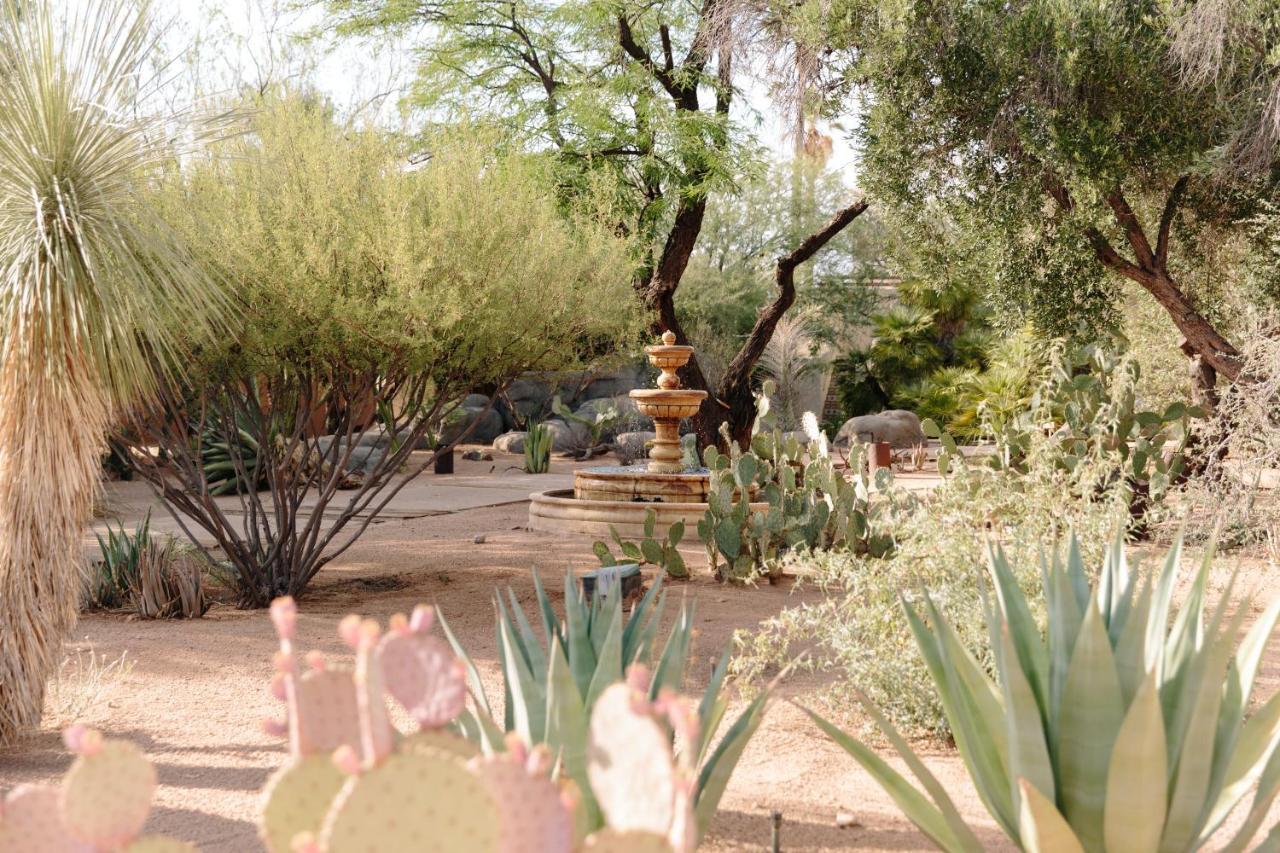 The Jth Tucson - photo 6