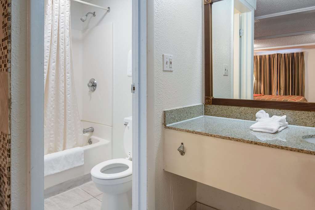 Rodeway Inn Auburn Hills Detroit - photo 24