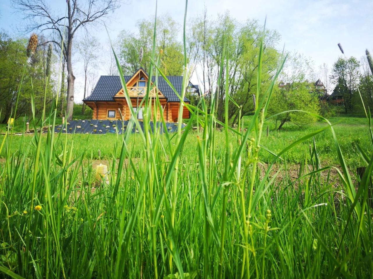 Kukulisko Ferie Zimowe 2026 Wolne Terminy in Bukowina Tatrzanska, Poland