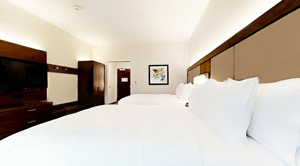 Holiday Inn Express & Suites Chalmette New Orleans S by IHG - photo 4