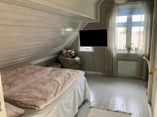 Lenes hus in Halden, Norway