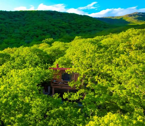 Villa Vejini cabin