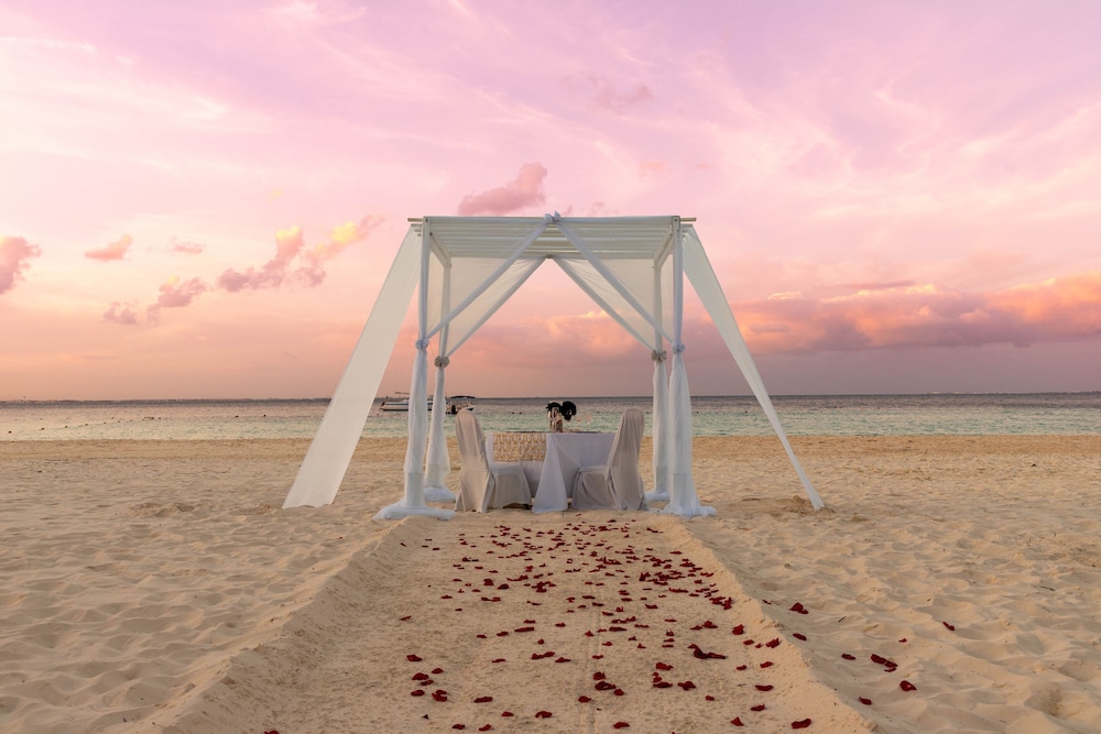 Outdoor wedding area