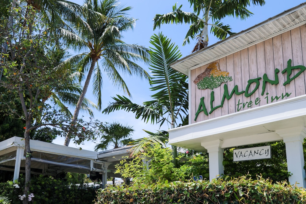 Almond Tree Inn Hotel Adults Only - photo 66
