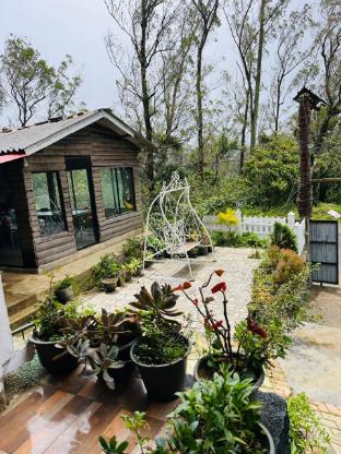 White Forest Resort — Nuwara Eliya — photo 3