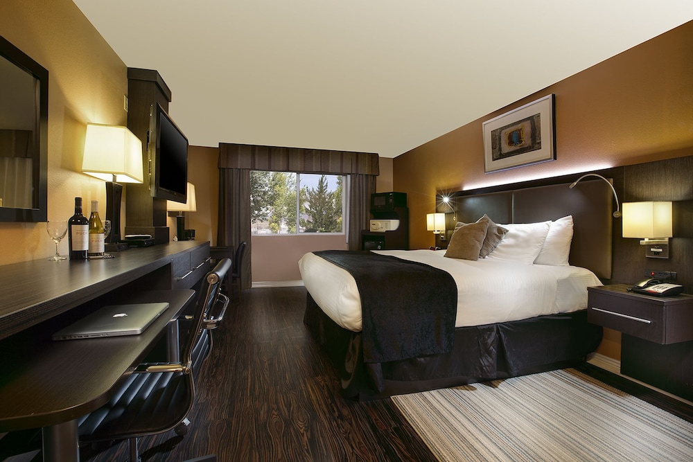 Prospector Hotel & Gambling Hall - photo 8
