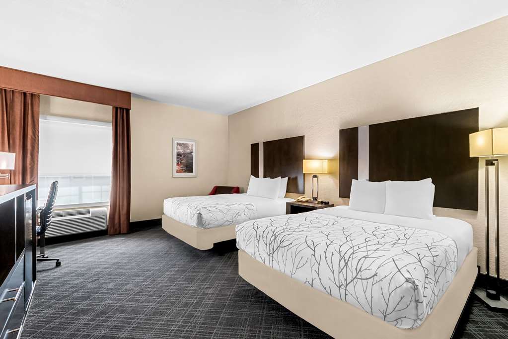 Best Western Boerne Inn & Suites - photo 10