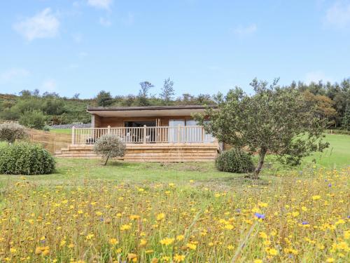 Meadow Lodge — 4-Star Luxury Hotel in Conwy, United Kingdom