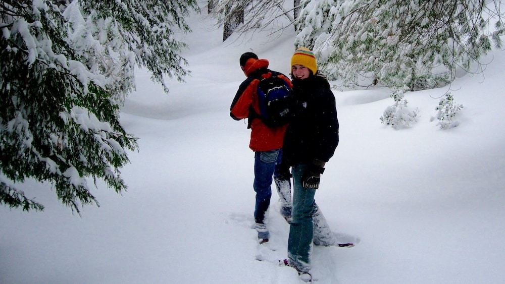 Yosemite Bug Rustic Mountain Resort - photo 97