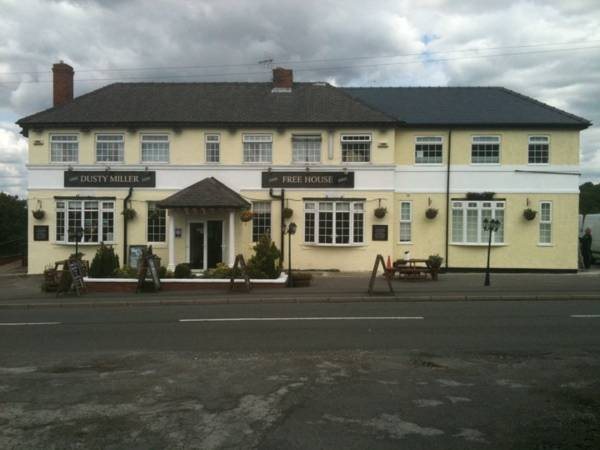 Dusty Miller in Sheffield, United Kingdom