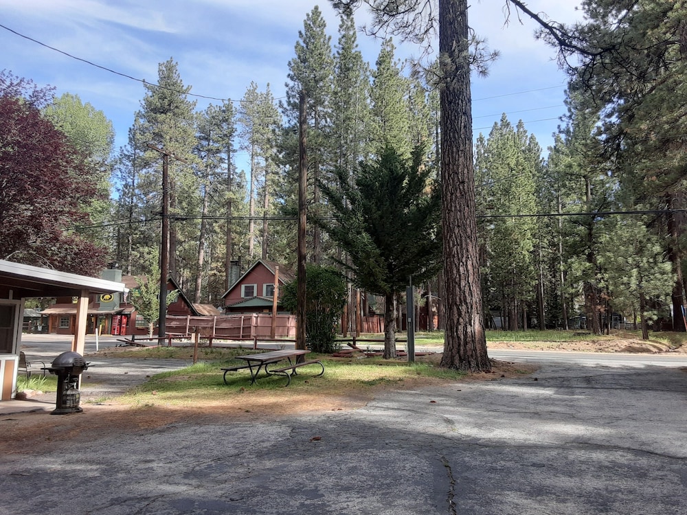Grey Squirrel Resort - photo 178