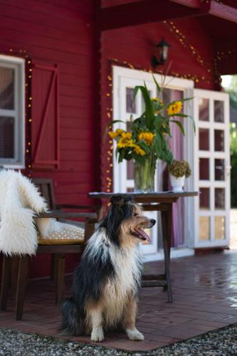Moerenhof Blockhütte Xanten in Xanten, Germany