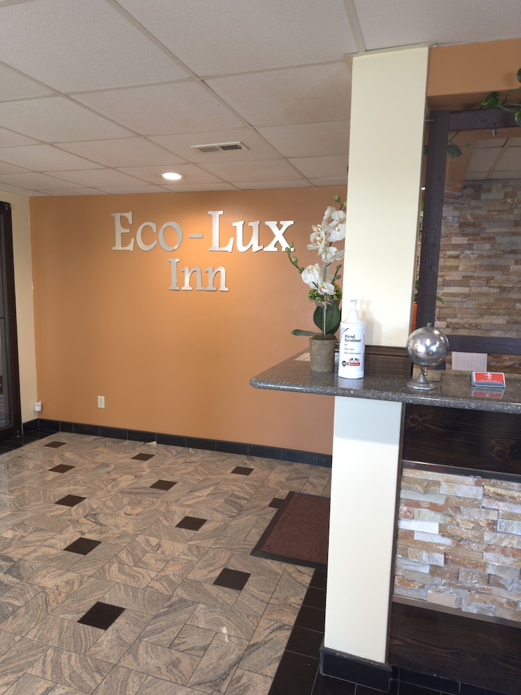 Eco Lux Inn - photo 5