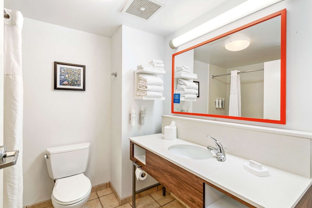 Hampton Inn & Suites Orlando Apopka - photo 53