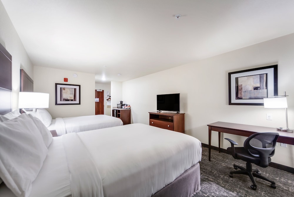 Cobblestone Hotel & Suites Two Rivers - photo 4