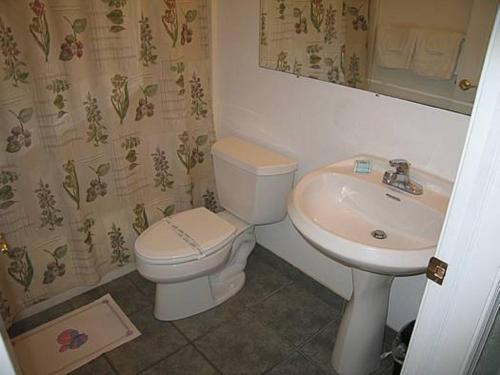 Apollo Resort Motel - photo 16