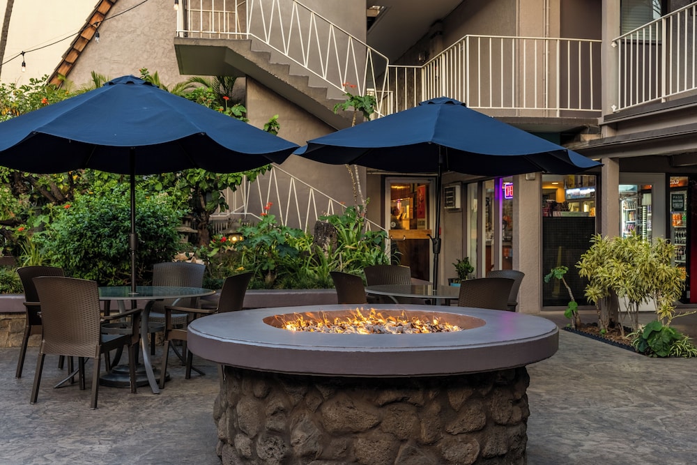 Pacific Marina Inn Airport Hotel - photo 24