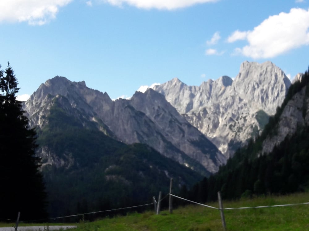 City view from property