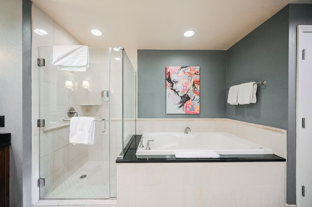 StripViewSuites at Signature - photo 218