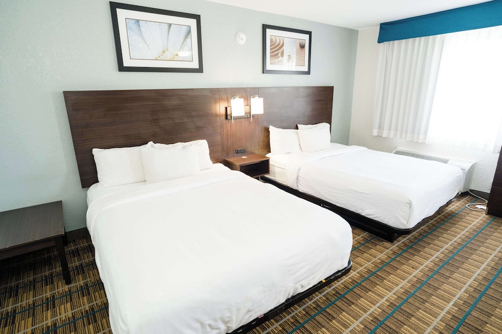 Mainstay Suites Knoxville Airport - photo 16