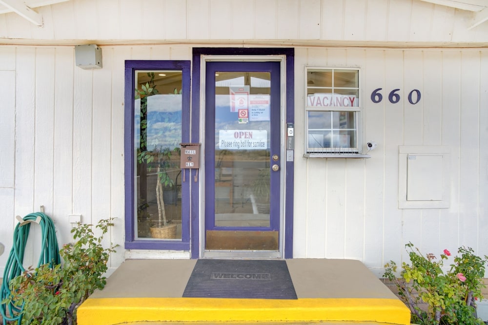 Rose's Motel - photo 89