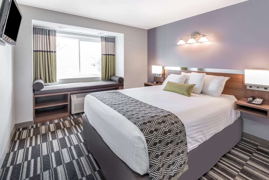 Microtel Inn by Wyndham Victor Rochester - photo 11