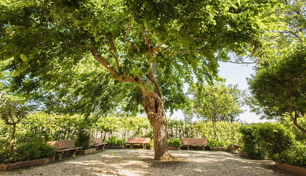 Il Casale di Donoratico con piscina — hotel in Castagneto Carducci